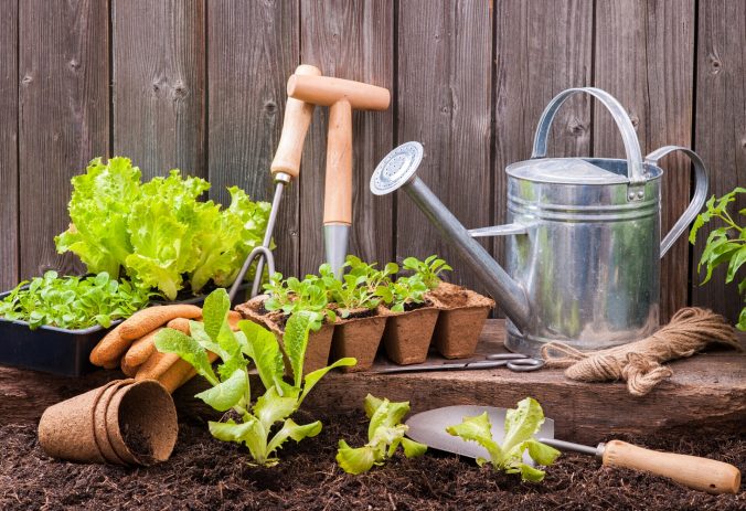 Подготовка почвы для успешной посадки растений - полезные советы и техника для сада и огорода